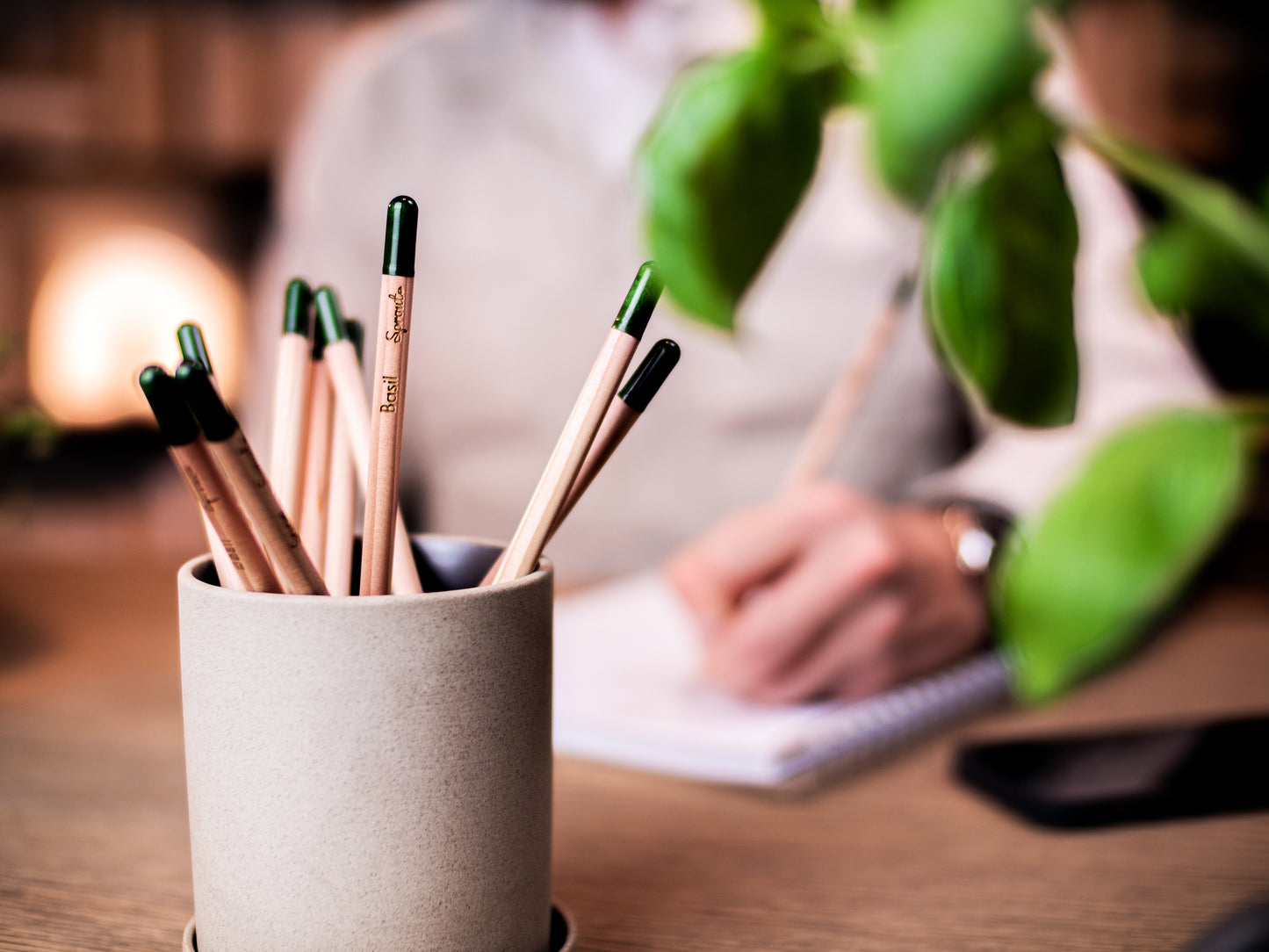 Pack of 4! Graphite Sprout Plantable Pencils - Choose Herbs or Flowers!