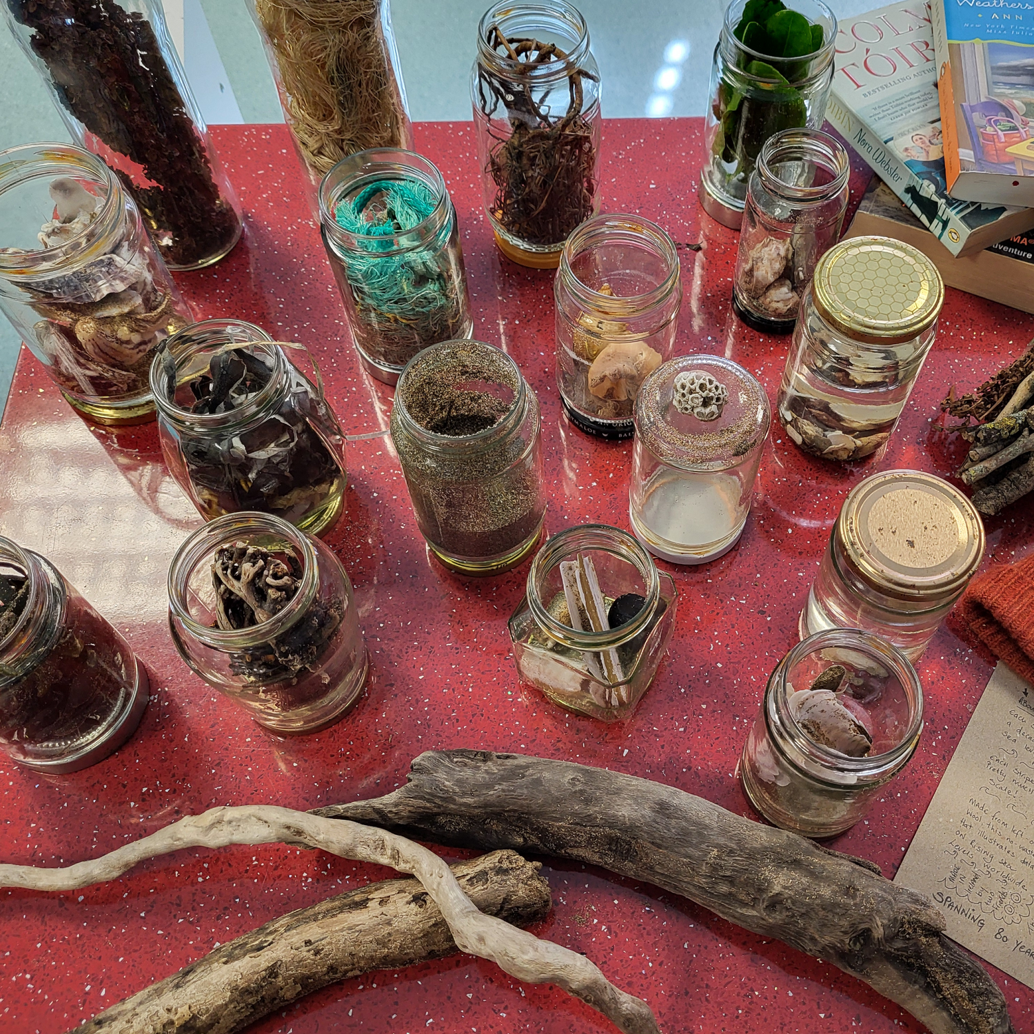 art Workshop with drift wood and beach materials in glass jars