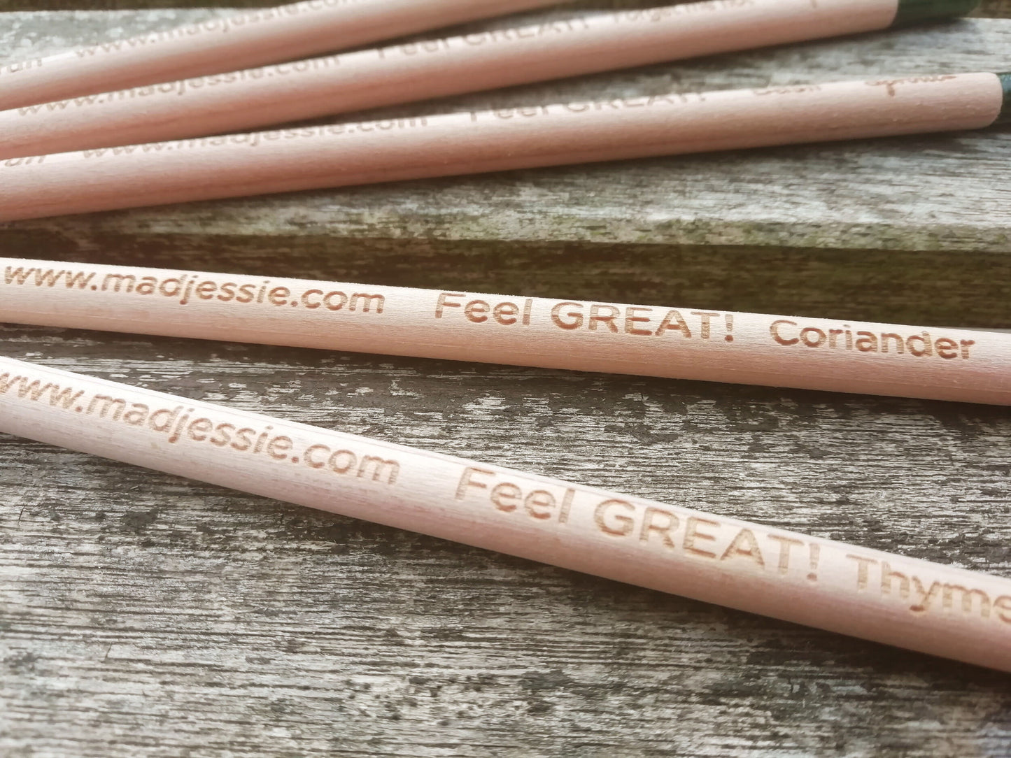 Pack of 4! Graphite Sprout Plantable Pencils - Choose Herbs or Flowers!