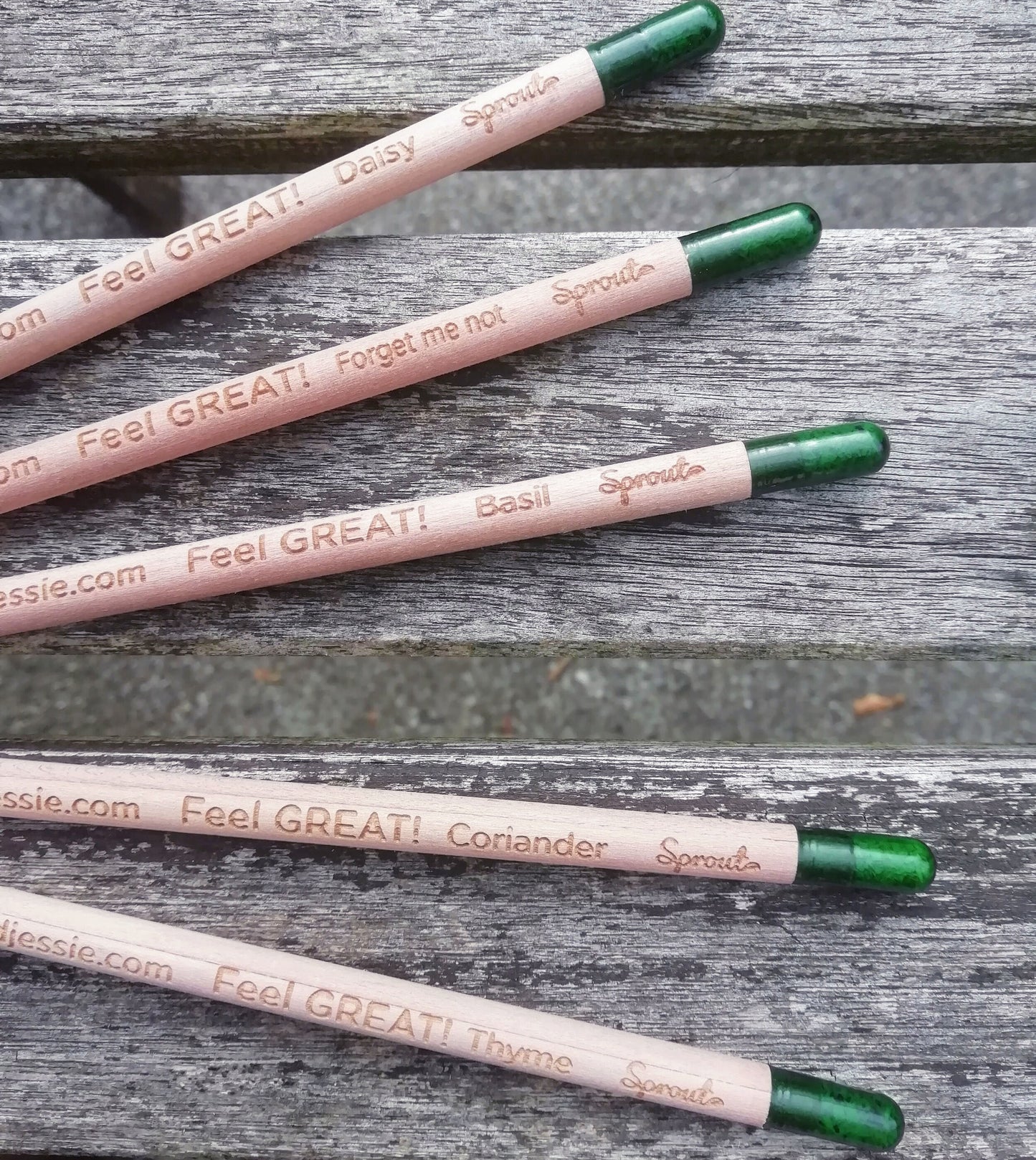 Pack of 4! Graphite Sprout Plantable Pencils - Choose Herbs or Flowers!