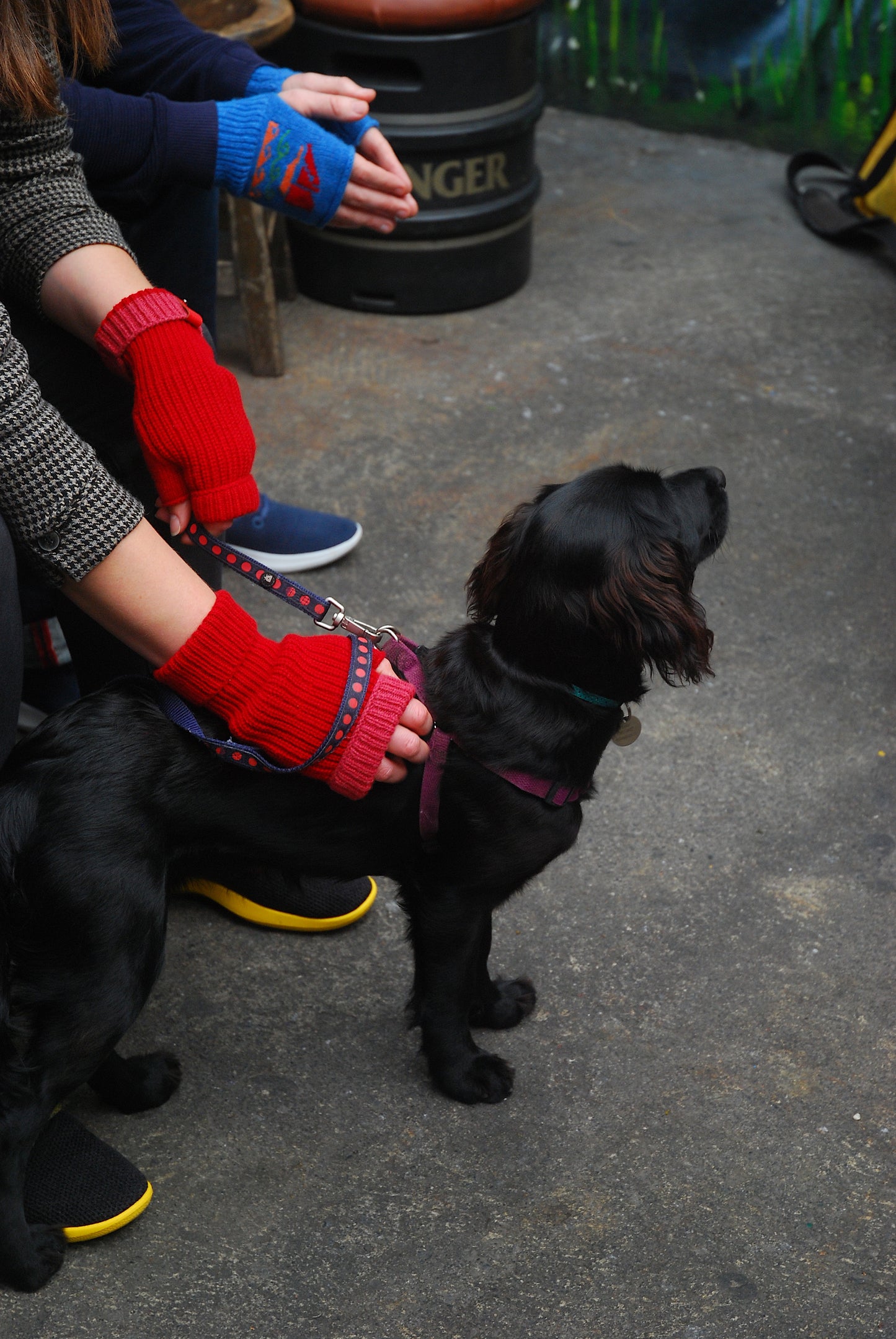 The Mad Jessie Skipper Wrist Warmers