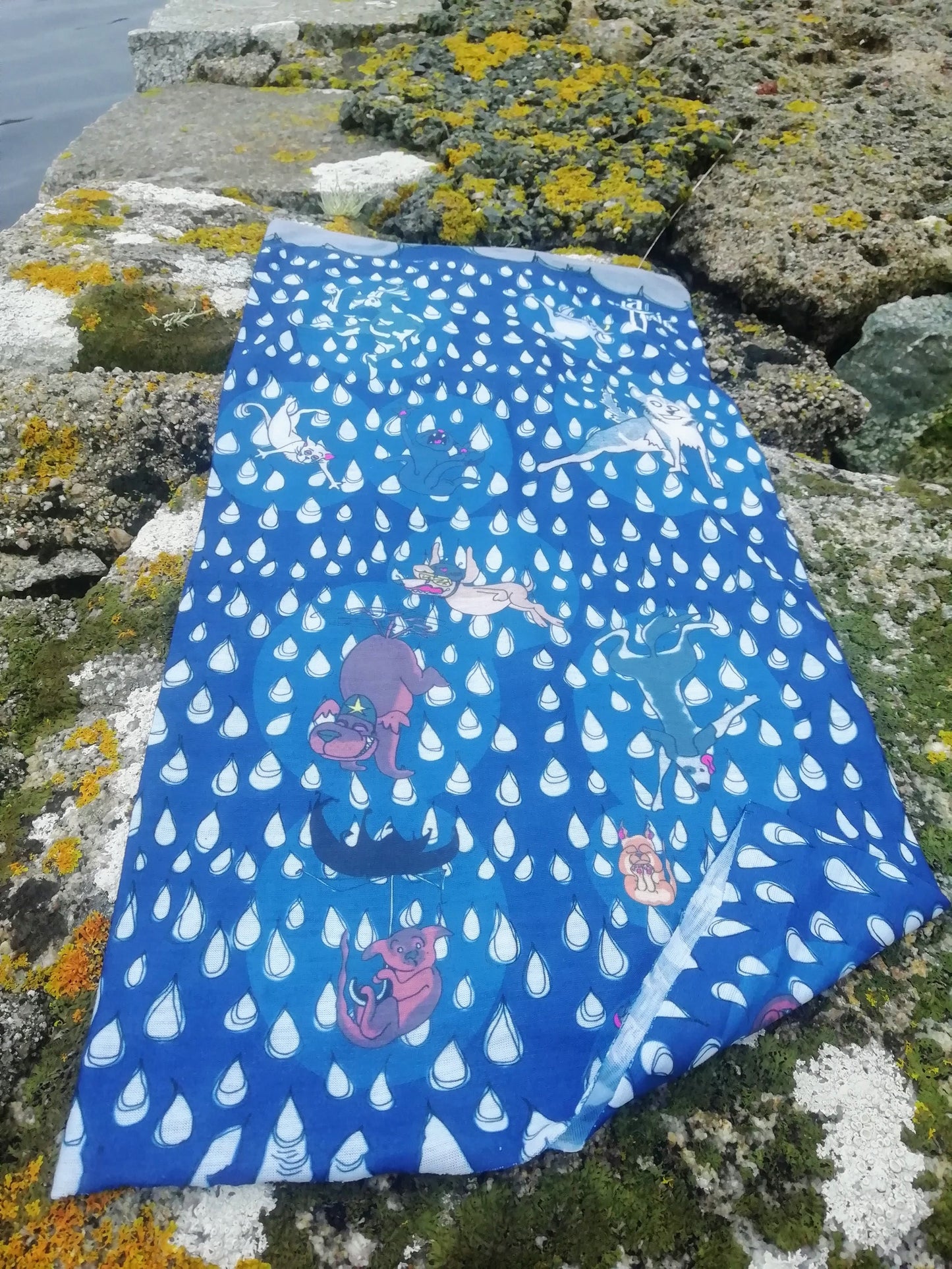 Raining cats n dogs Gift box